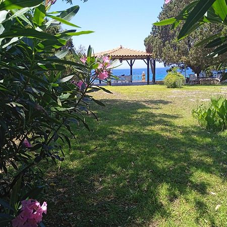 Levendokhórion Genari Beach Apartments מראה חיצוני תמונה