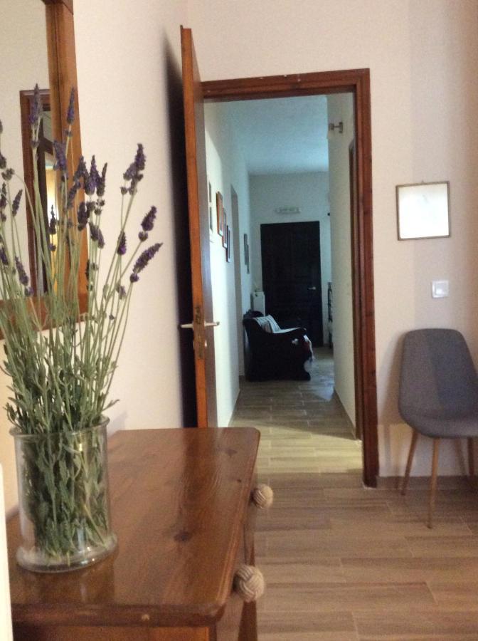 Levendokhórion Genari Beach Apartments מראה חיצוני תמונה