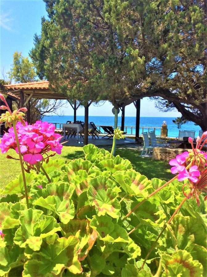 Levendokhórion Genari Beach Apartments מראה חיצוני תמונה