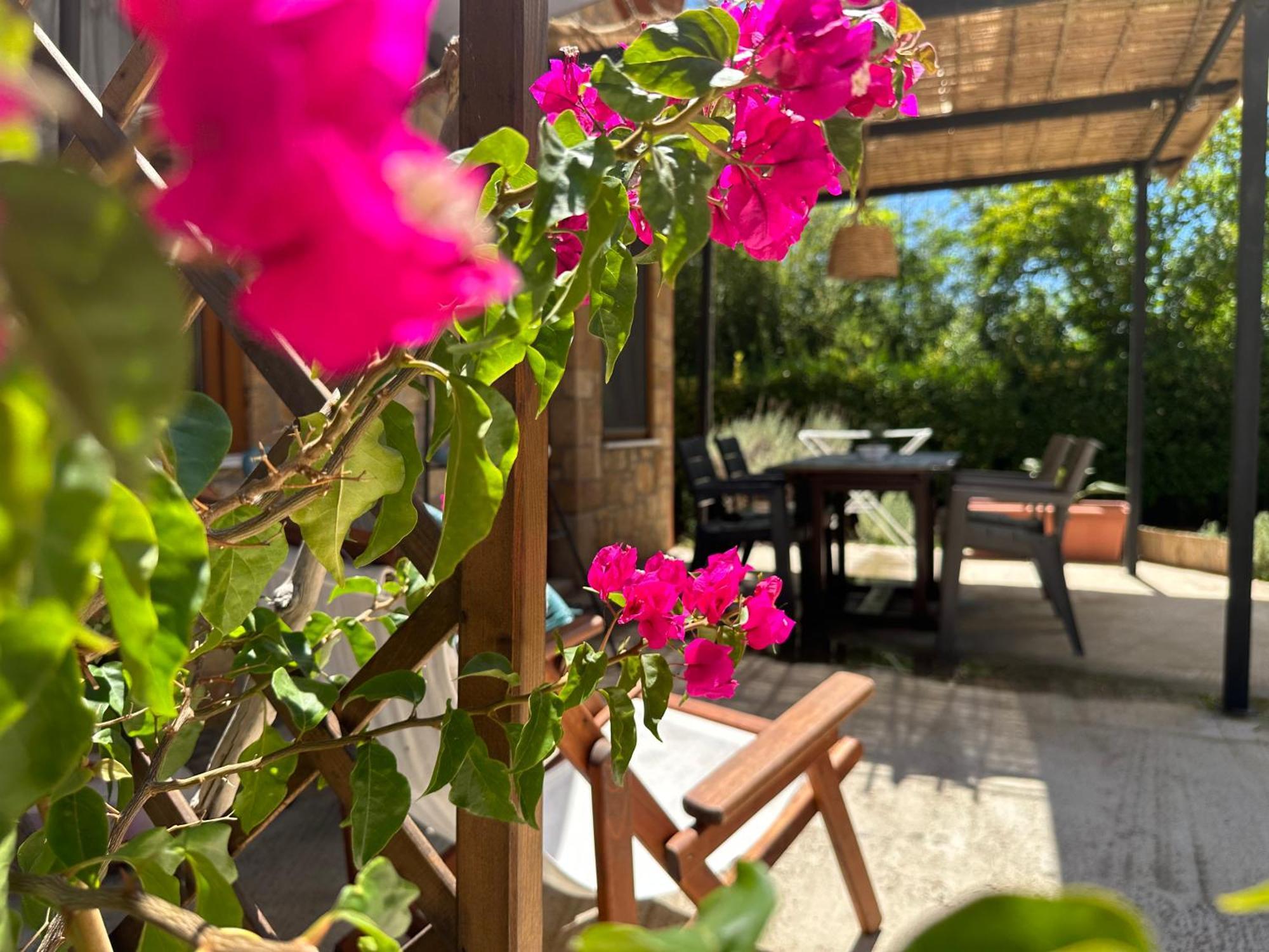 Levendokhórion Genari Beach Apartments מראה חיצוני תמונה