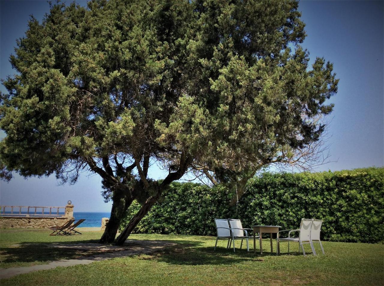 Levendokhórion Genari Beach Apartments מראה חיצוני תמונה